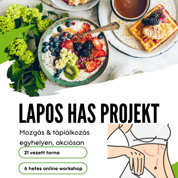 LAPOS HAS Programcsomag